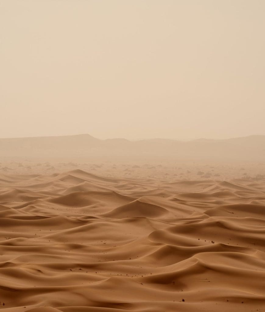 desert of distraction