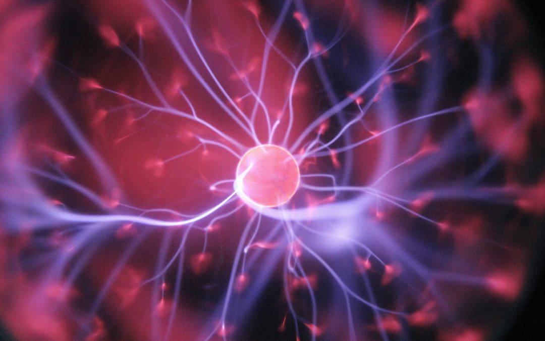 The Science of Mindfulness: Understanding Its Impact on the Brain